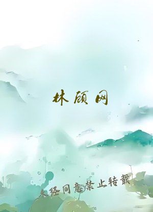 林顾网