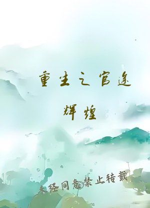 重生之官途辉煌